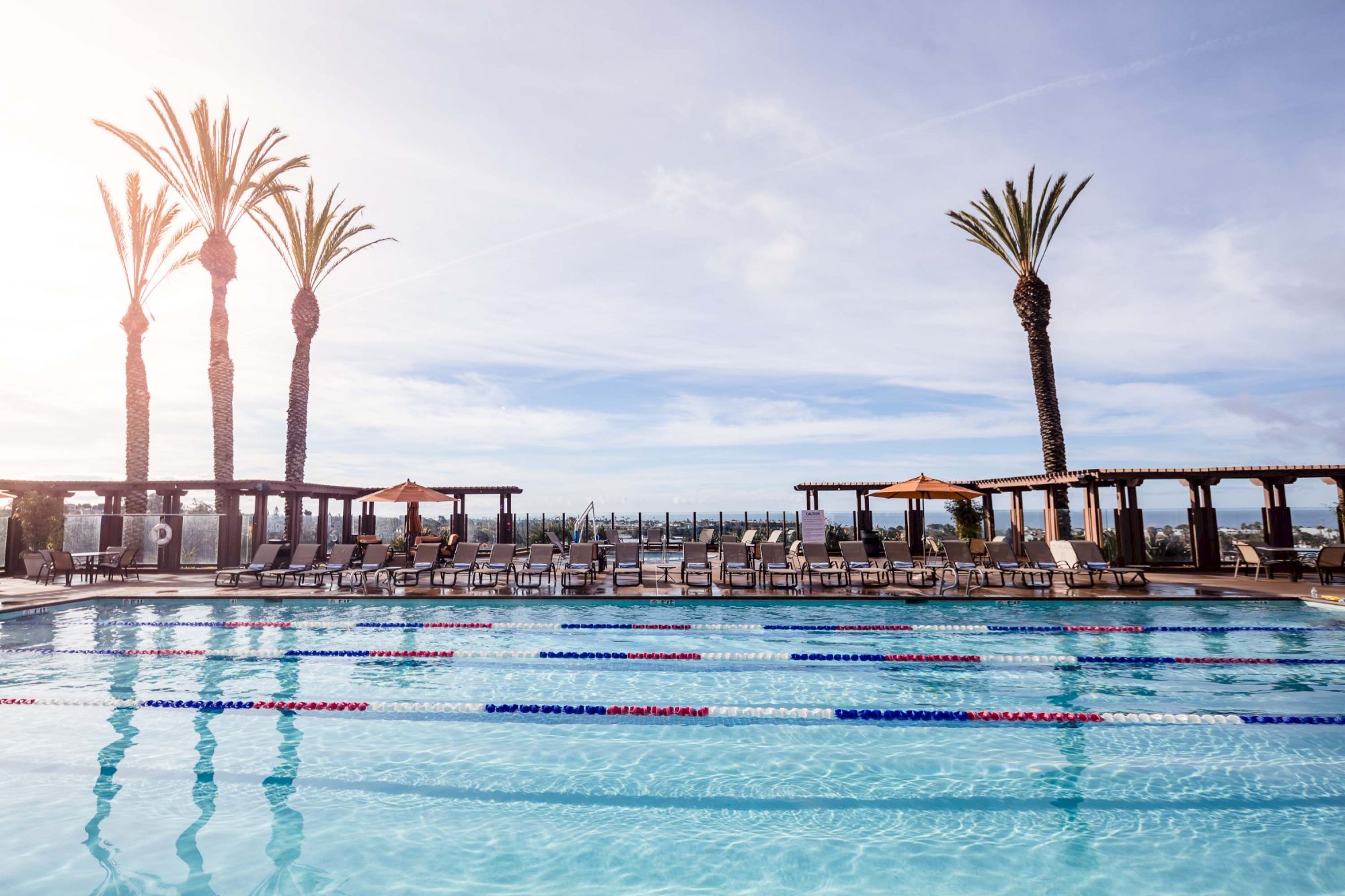 A bright pool scene with turquoise water, pool lanes, and palm trees under a clear sky, plus lounge chairs and cabanas along the edge.