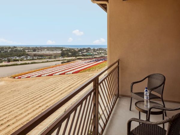 The Cassara Carlsbad