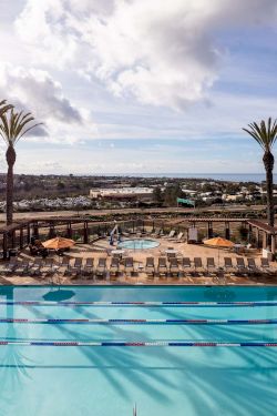 A resort pool with lanes, surrounded by lounge chairs and palm trees, under a bright, partly cloudy sky, overlooking a distant town.
