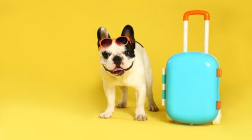 pet friendly hotel in carlsbad