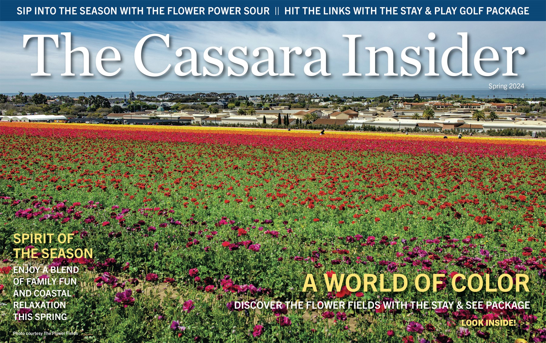 The Cassara Insider Mar-May 2024 