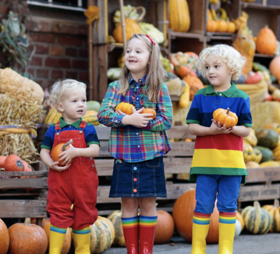 things to do in the fall in carlsbad