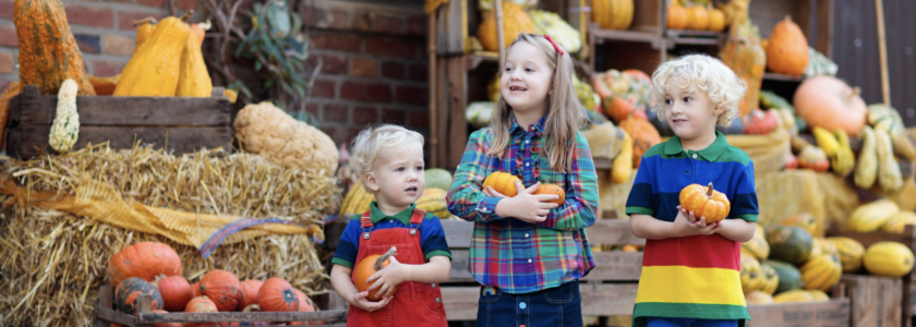 things to do in the fall in carlsbad