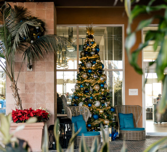 holidays at the cassara carlsbad