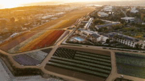 best hotel in carlsbad