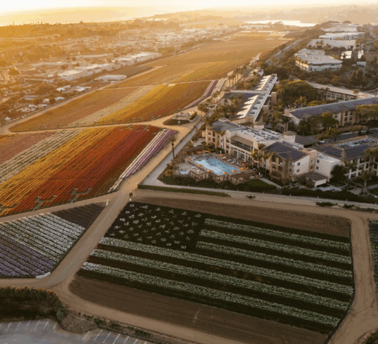 best hotel in carlsbad